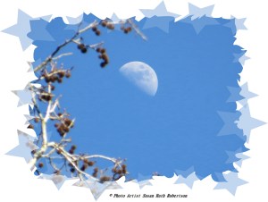 © Photo Artist Susan Ruth Robertson 042