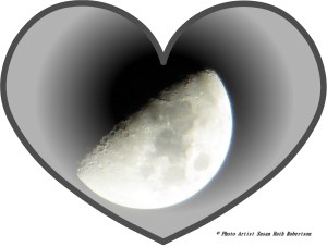 © Photo Artist Susan Ruth Robertson 046