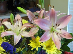Photo Artist Susan Robertson (1)