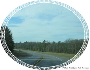Photo Artist Susan Robertson (14)