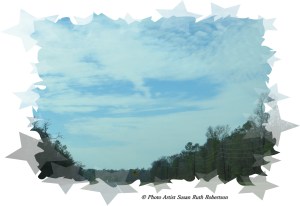 Photo Artist Susan Robertson (15)