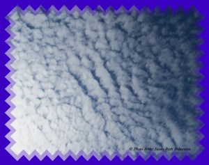 Photo Artist Susan Robertson (2)