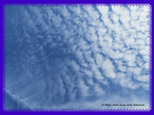 Photo Artist Susan Robertson (3)