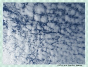 Photo Artist Susan Robertson (34)