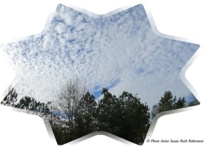 Photo Artist Susan Robertson (35)