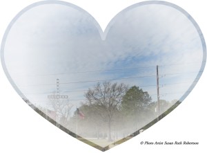 Photo Artist Susan Robertson (7)