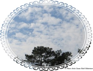 Photo Artist Susan Robertson (8)