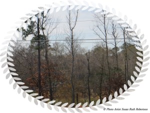 Photo Artist Susan Robertson (9)