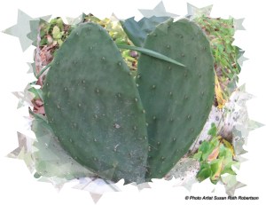 © Photo Artist Susan Ruth Robertson 001