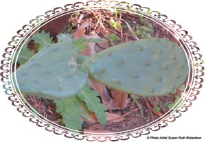 © Photo Artist Susan Ruth Robertson 002 - Copy