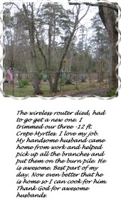 © Photo Artist Susan Ruth Robertson 003 - Copy