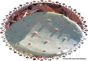 © Photo Artist Susan Ruth Robertson 003 - Copy