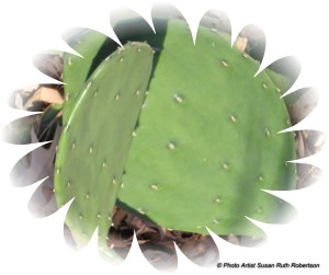 © Photo Artist Susan Ruth Robertson 004 - Copy