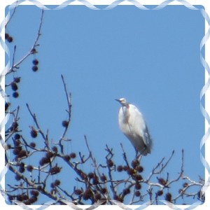 © Photo Artist Susan Ruth Robertson 006