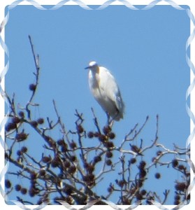 © Photo Artist Susan Ruth Robertson 007