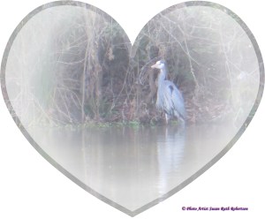 © Photo Artist Susan Ruth Robertson 010