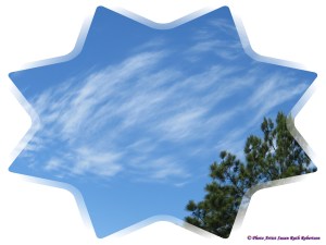 © Photo Artist Susan Ruth Robertson 012