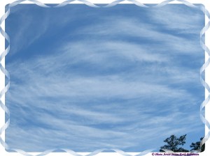 © Photo Artist Susan Ruth Robertson 013