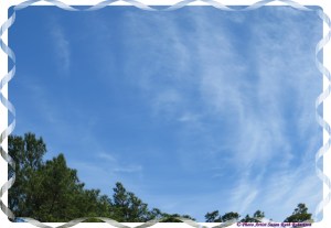 © Photo Artist Susan Ruth Robertson 014