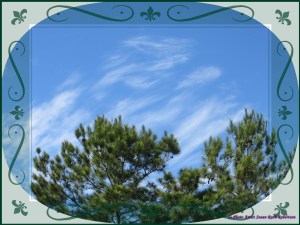 © Photo Artist Susan Ruth Robertson 015