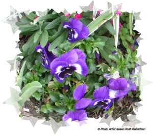 © Photo Artist Susan Ruth Robertson 015