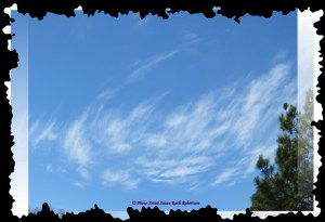 © Photo Artist Susan Ruth Robertson 016