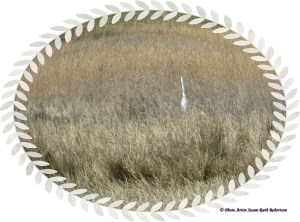 © Photo Artist Susan Ruth Robertson 017