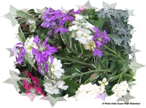 © Photo Artist Susan Ruth Robertson 019