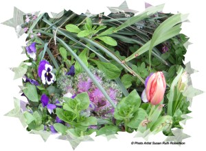 © Photo Artist Susan Ruth Robertson 020 - Copy