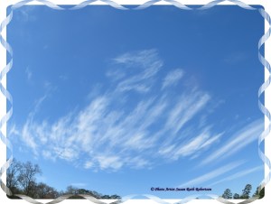 © Photo Artist Susan Ruth Robertson 021