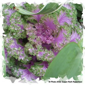 © Photo Artist Susan Ruth Robertson 024 - Copy