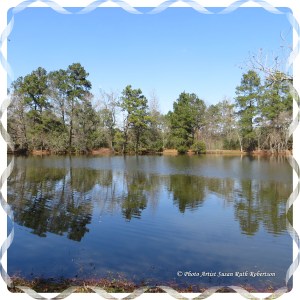 © Photo Artist Susan Ruth Robertson 025