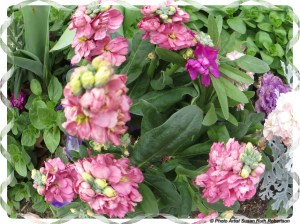 © Photo Artist Susan Ruth Robertson 030 - Copy