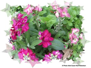 © Photo Artist Susan Ruth Robertson 032 - Copy