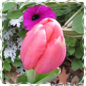 © Photo Artist Susan Ruth Robertson 033 - Copy