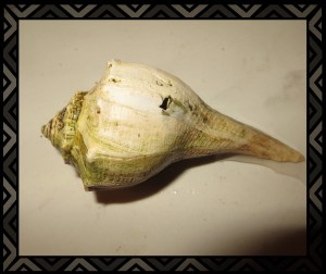 © Photo Artist Susan Ruth Robertson 037