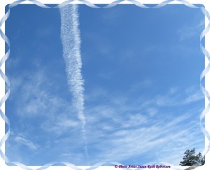 © Photo Artist Susan Ruth Robertson 042