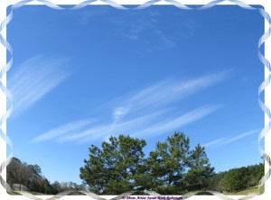 © Photo Artist Susan Ruth Robertson 043