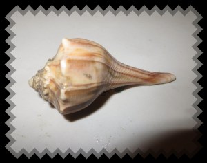 © Photo Artist Susan Ruth Robertson 045