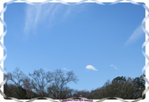 © Photo Artist Susan Ruth Robertson 045