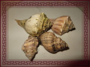 © Photo Artist Susan Ruth Robertson 051