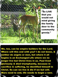 Photo Artist Susan Robertson (1)