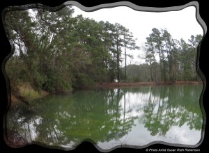 © Photo Artist Susan Ruth Robertson 003 - Copy