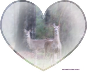 © Photo Artist Susan Ruth Robertson 007 - Copy