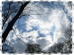 © Photo Artist Susan Ruth Robertson 008