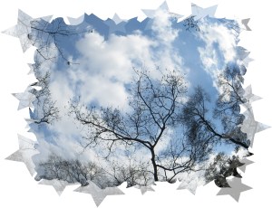 © Photo Artist Susan Ruth Robertson 009