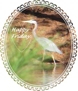 © Photo Artist Susan Ruth Robertson 016 - Copy