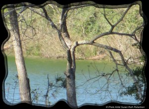 © Photo Artist Susan Ruth Robertson 040