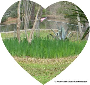 © Photo Artist Susan Ruth Robertson (1)