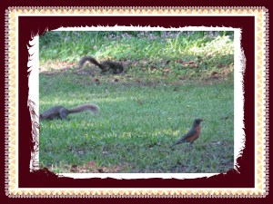 © Photo Artist Susan Ruth Robertson 027